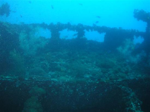 SS Yongala Dive Site-Alva Beach必去景点