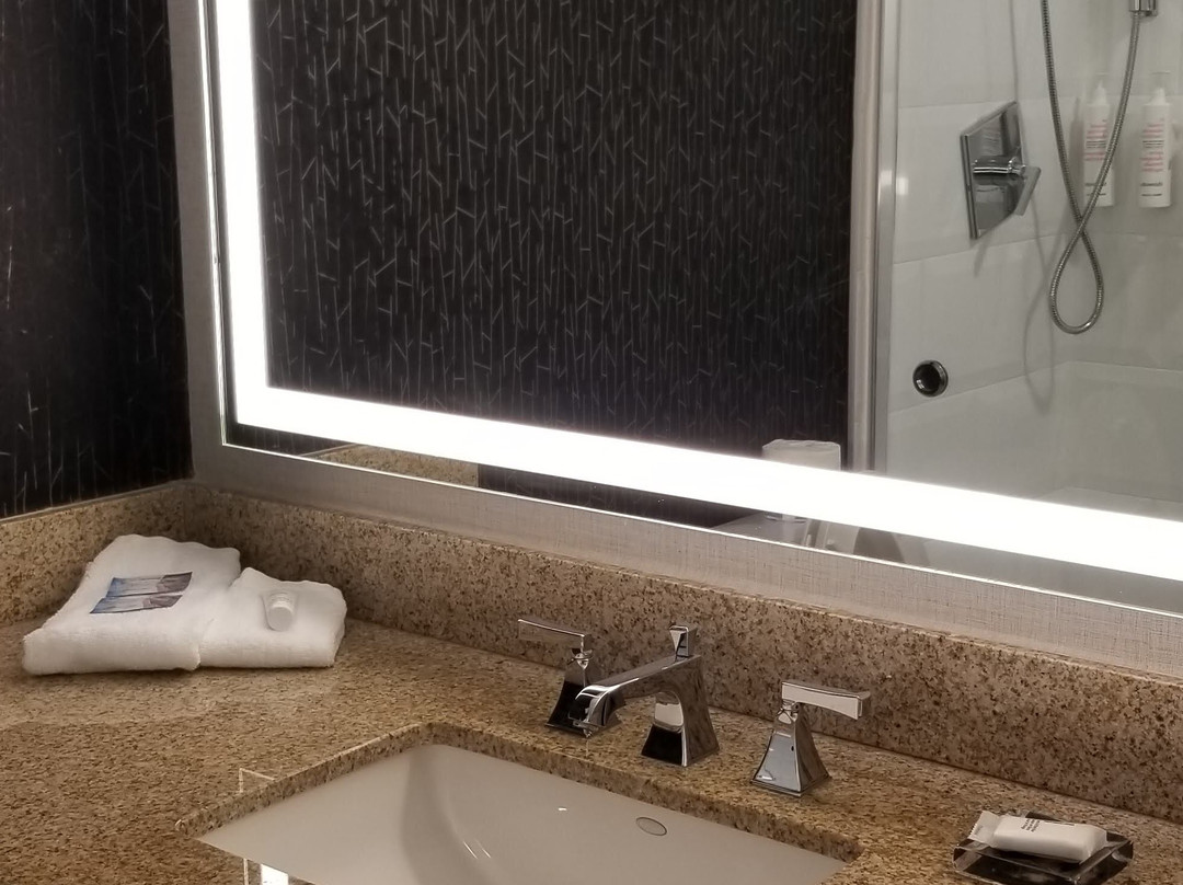 Kansas City Airport Marriott主图