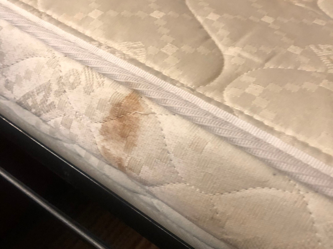 Courtyard by Marriott Chicago Southeast/Hammond, IN主图