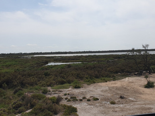 Beach Piemanson-Salin de Giraud必去景点