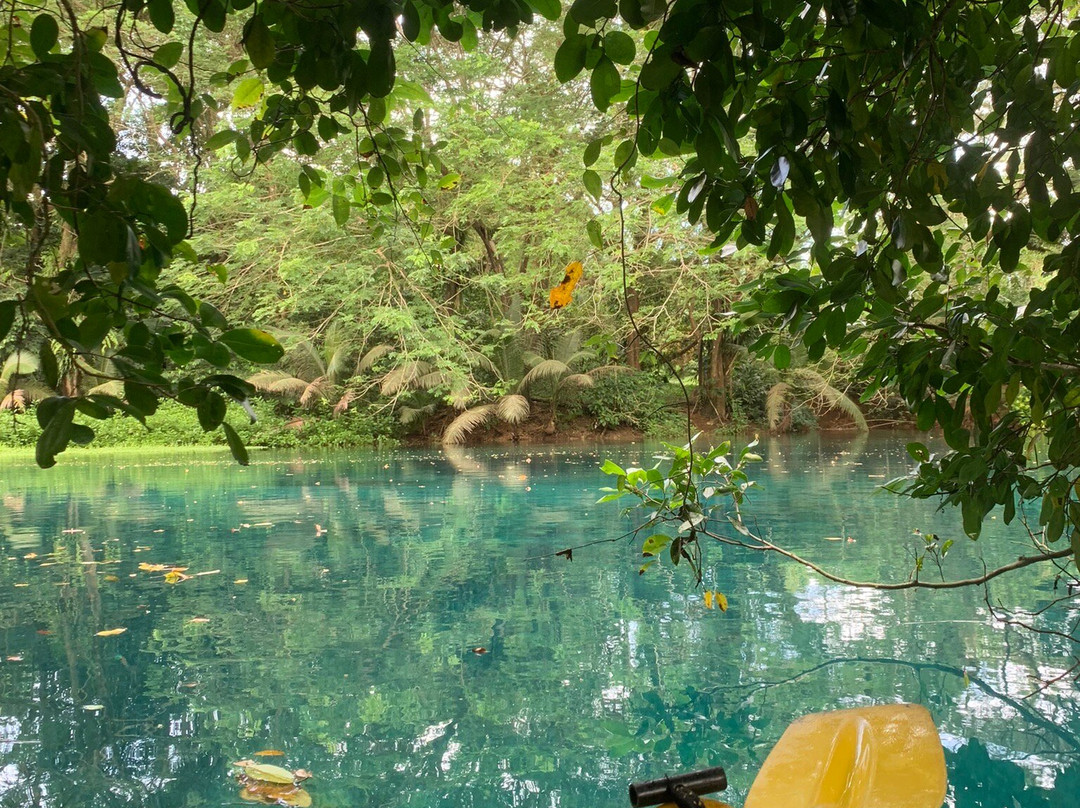 Matevulu Blue Hole-埃斯皮里图桑托岛必去景点