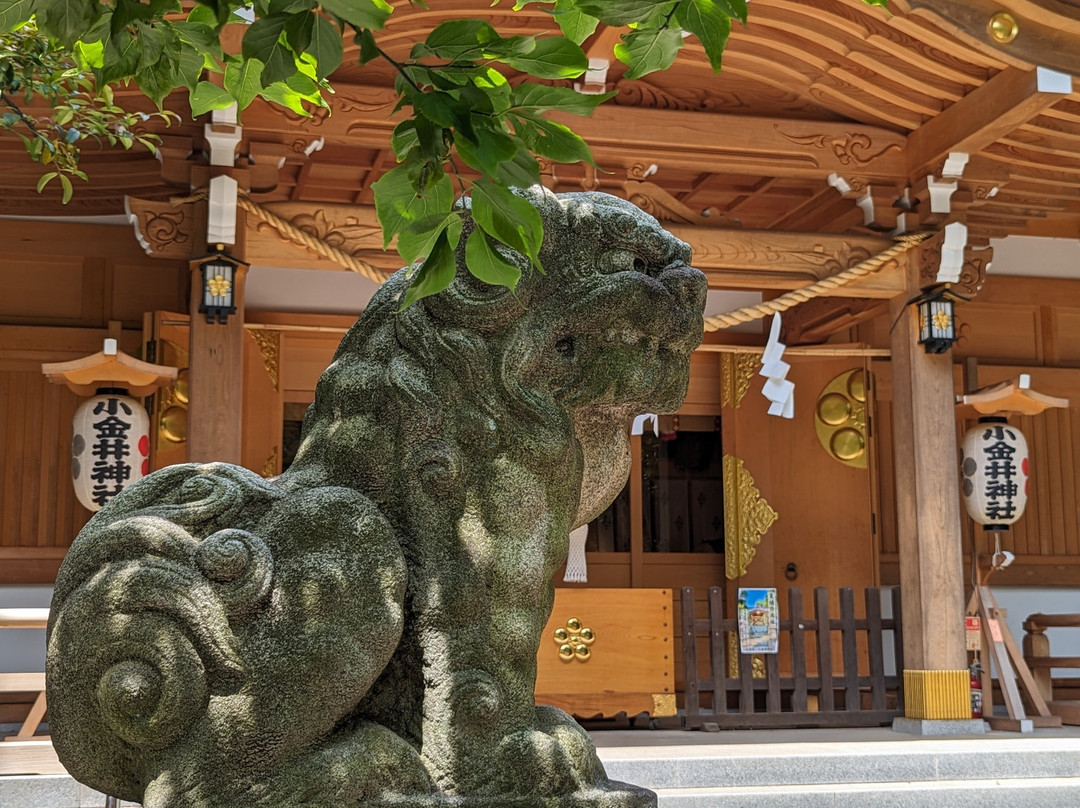 Koganei Shrine-小金井市必去景点