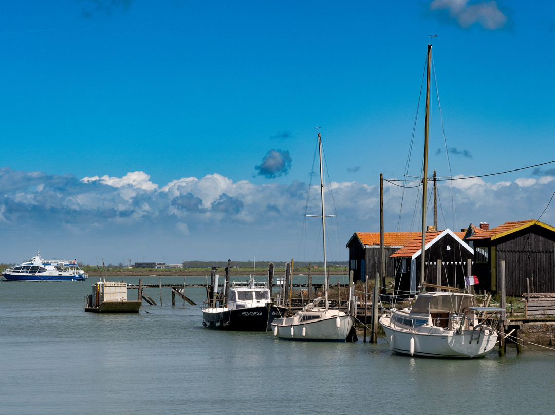 Port de la Grève景点图片