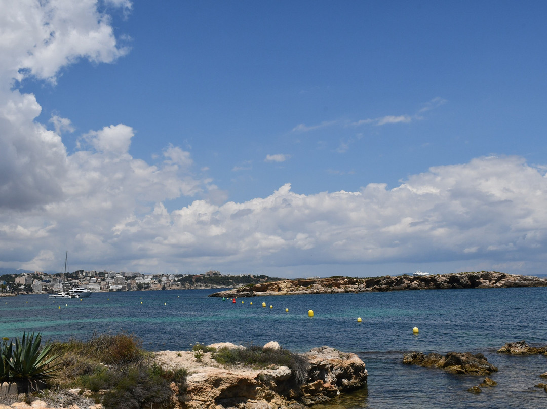 Cala Comtesa景点图片