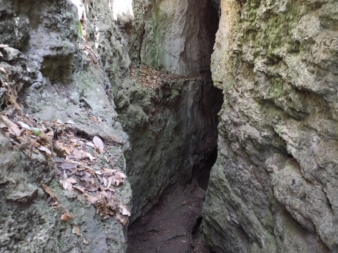 Paratge De les Estunes-Banyoles必去景点