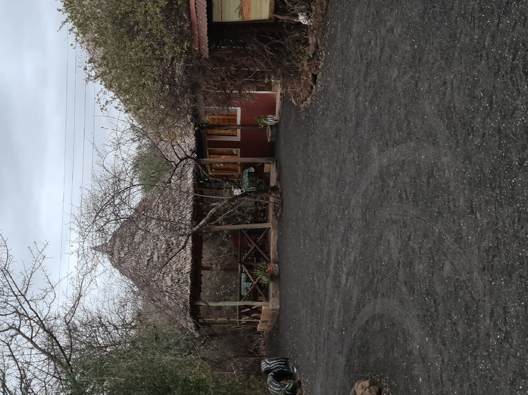 马赛辛巴营度假村主图