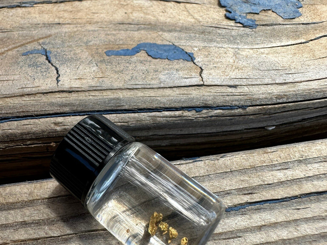 California Gold Panning景点图片