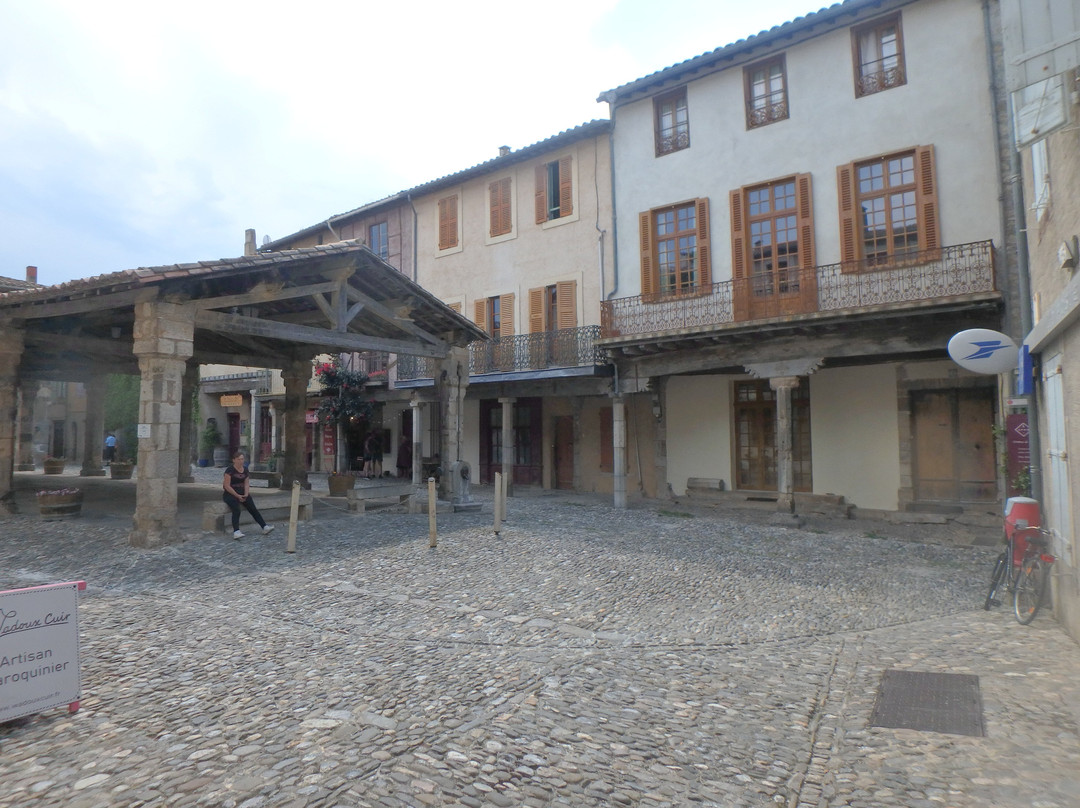 Halles De Lagrasse景点图片