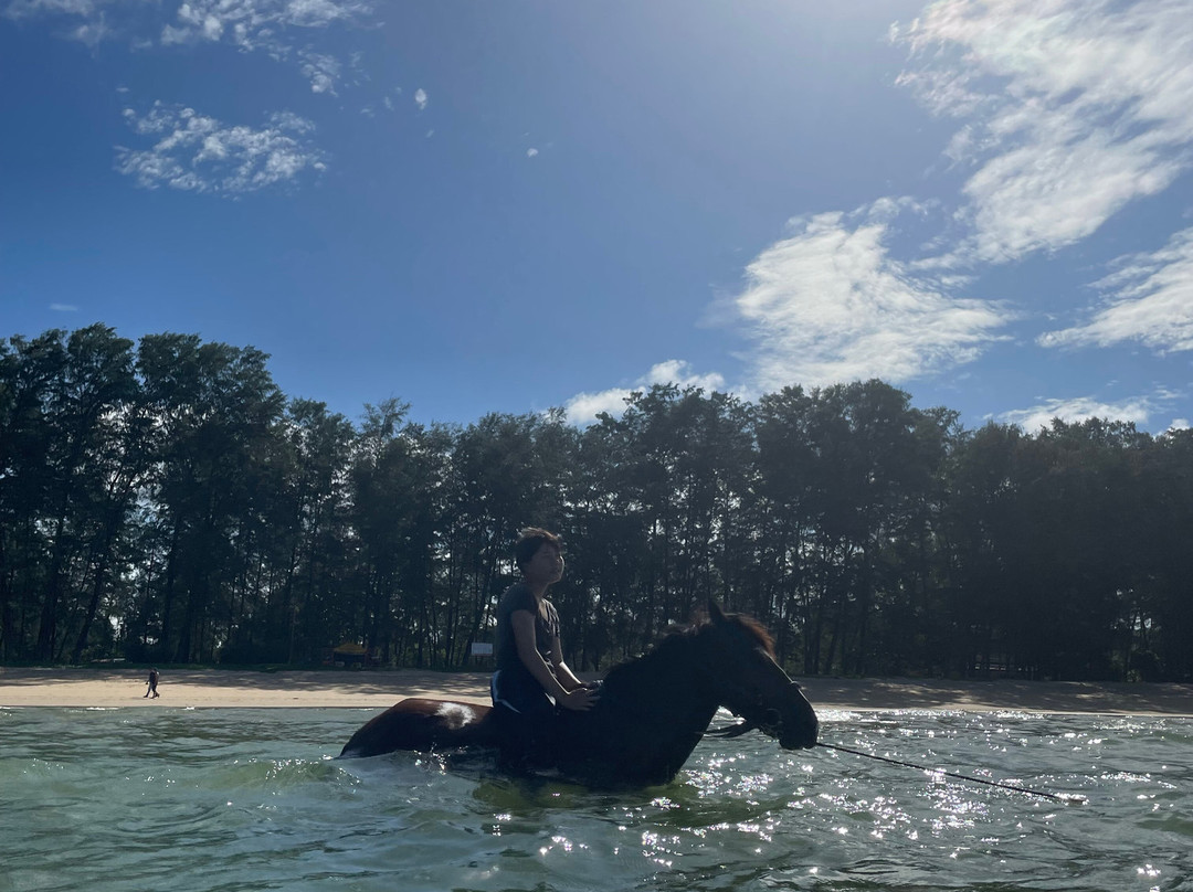 普吉国际马术俱乐部-呈塔累必去景点