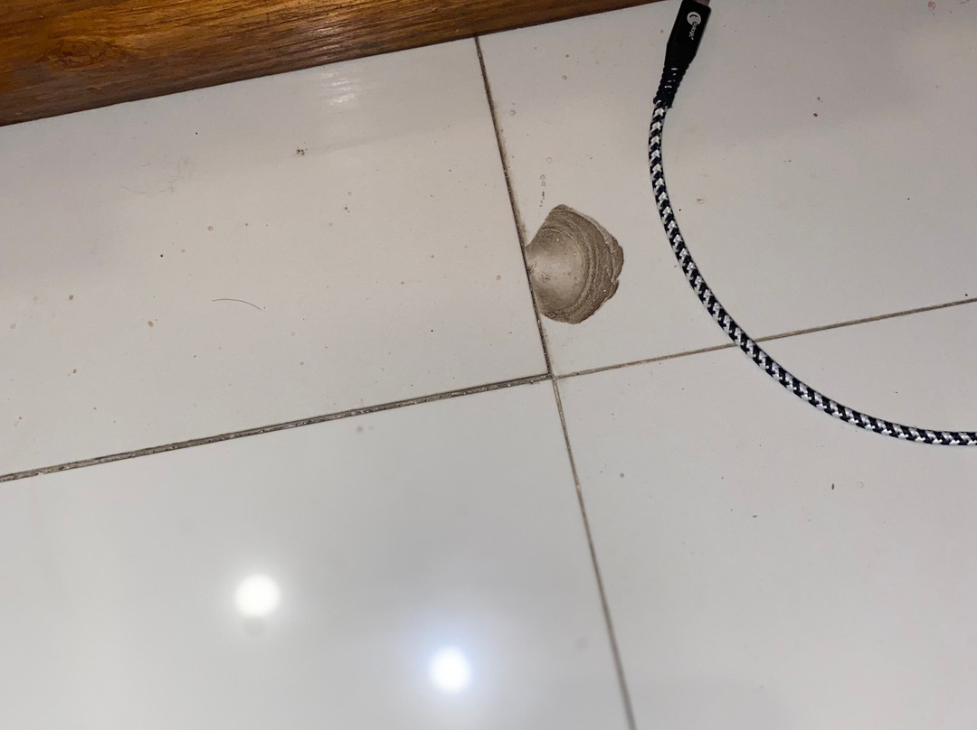 Wahyu Dana Hotel主图