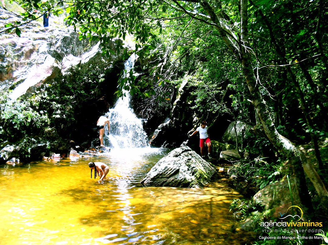 Agencia Caminhos & Trilhas