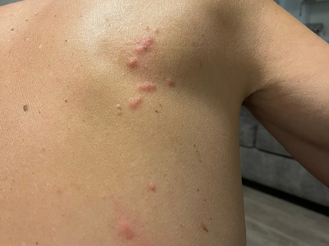 马歇尔费尔菲尔德客栈&套房酒店主图