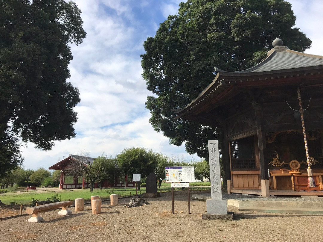 Shimotsuke Yakushiji Temple Ruins景点图片