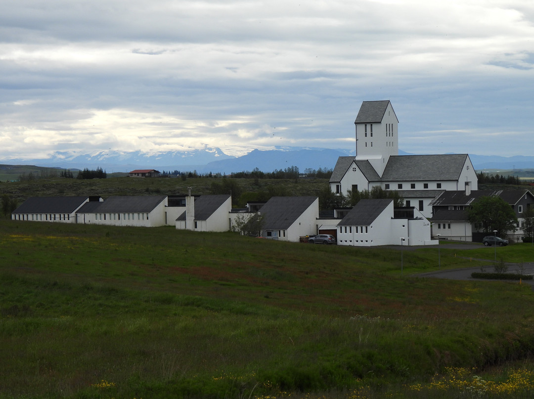 Skálholt Cathedral-塞尔福斯必去景点