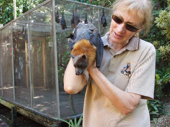 BatReach-库兰达必去景点