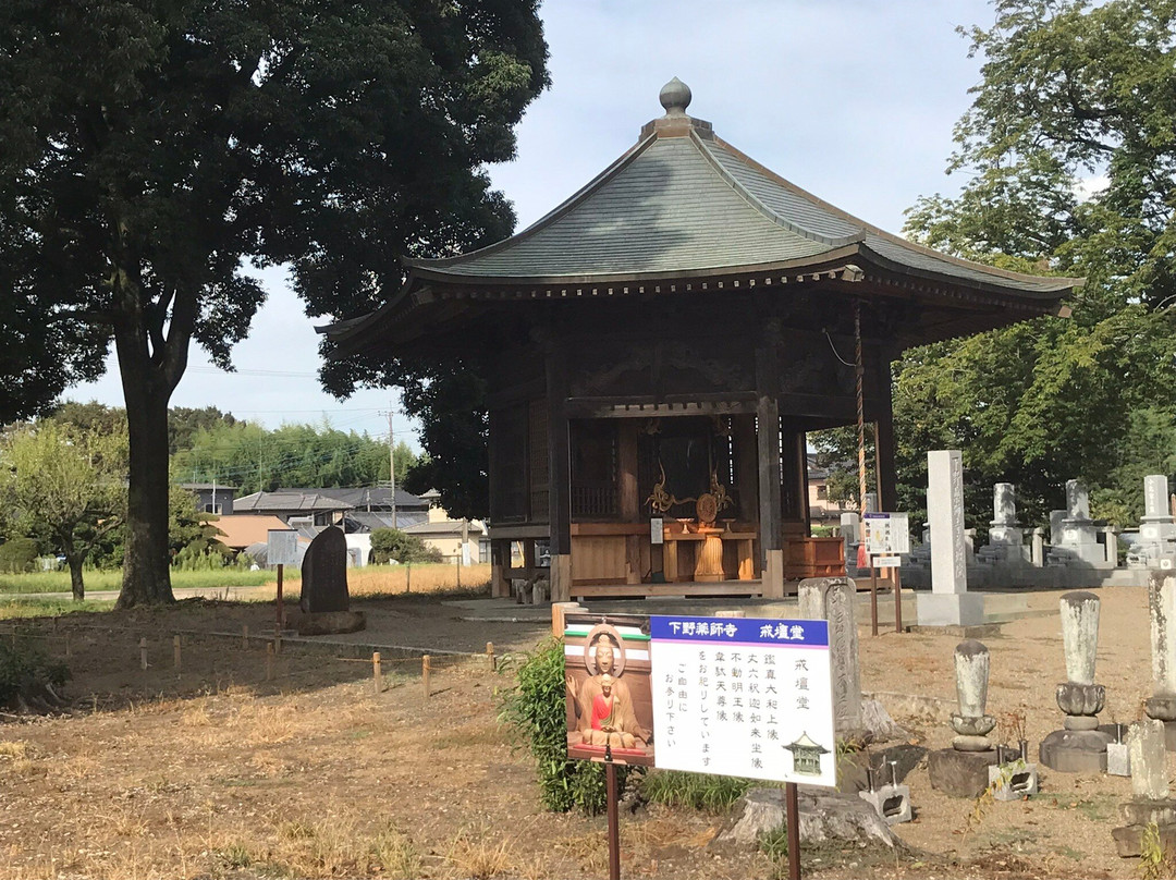Shimotsuke Yakushi-ji Temple-下野市必去景点