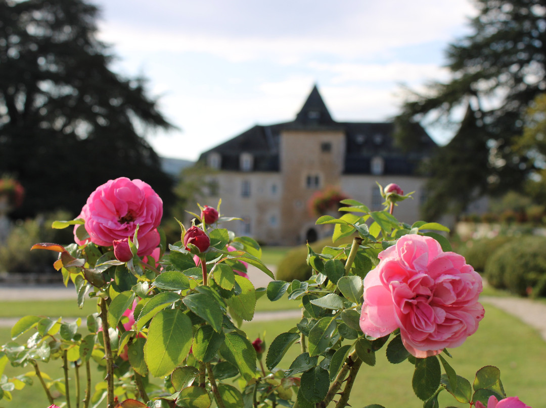 Chateau De La Treyne主图