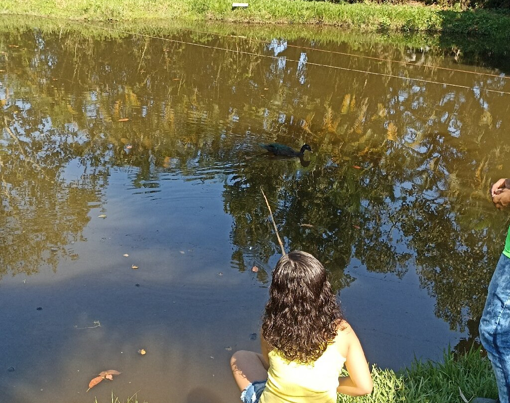 Hotel Bosques do Massaguacu主图