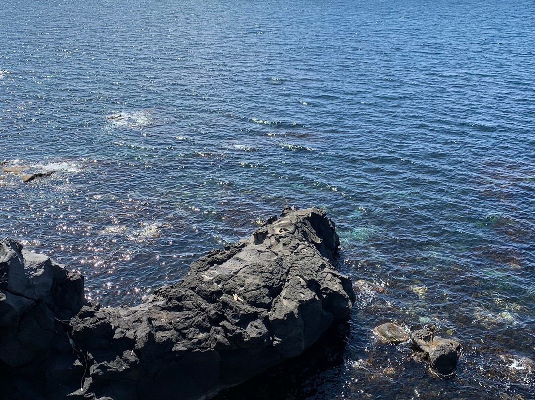 Kita no Itsukushima Bentengu-利尻町必去景点