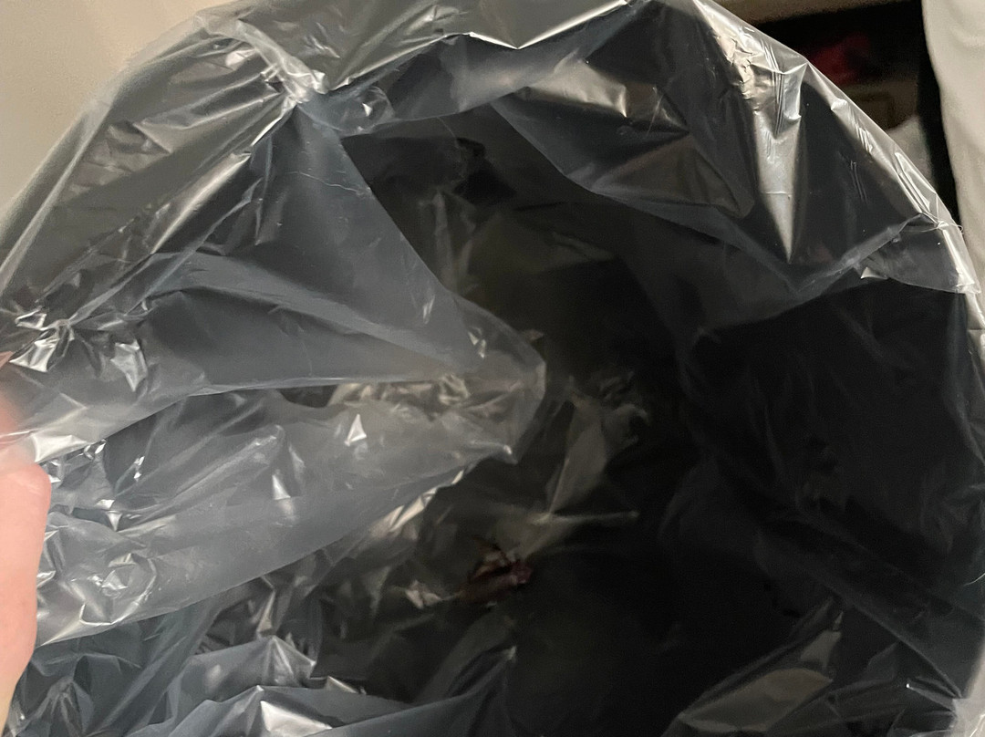 La Quinta Inn & Suites by Wyndham Forsyth主图