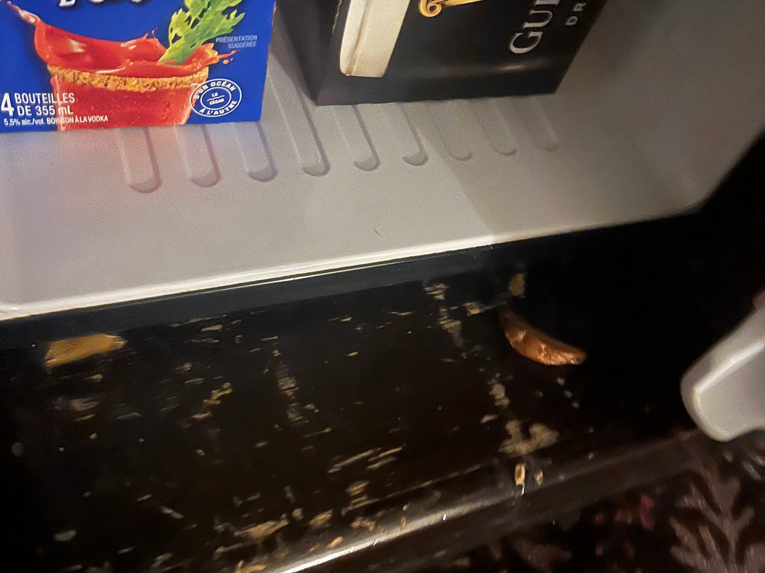 坦珀尔花园与水疗度假村主图