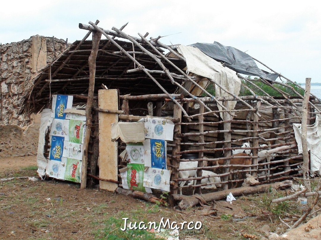 Kinazini Funzi Dhow Day Safari-Kwale必去景点