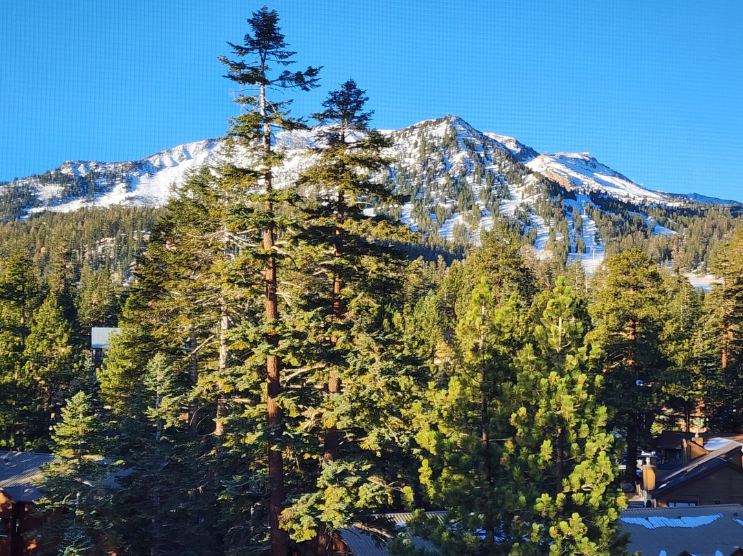 马麦斯威斯汀莫纳奇度假酒店主图