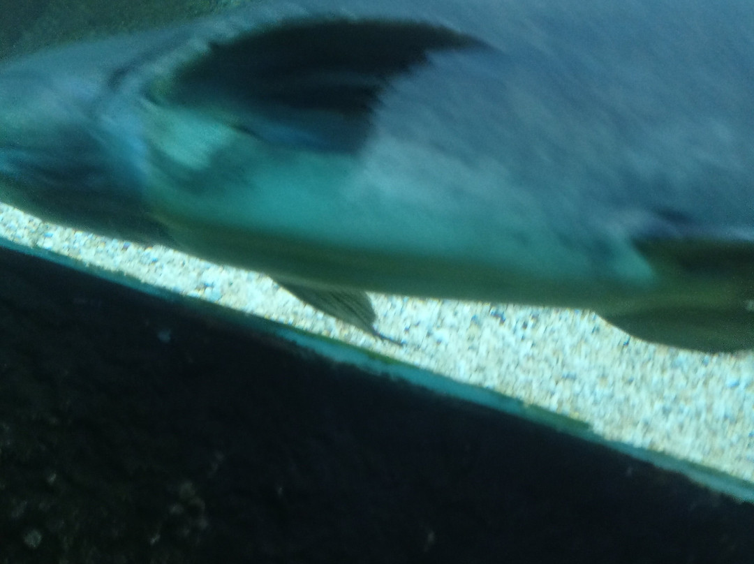 Bioparque Los Ocarros-比亚维森西奥必去景点