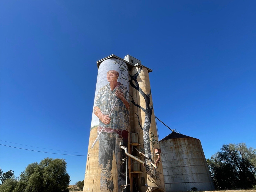 Patchewollock Art Silo-Patchewollock必去景点