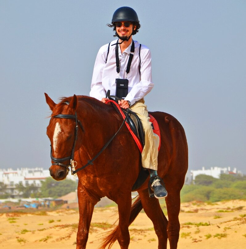 Santa Marilha Horse Excursions景点图片
