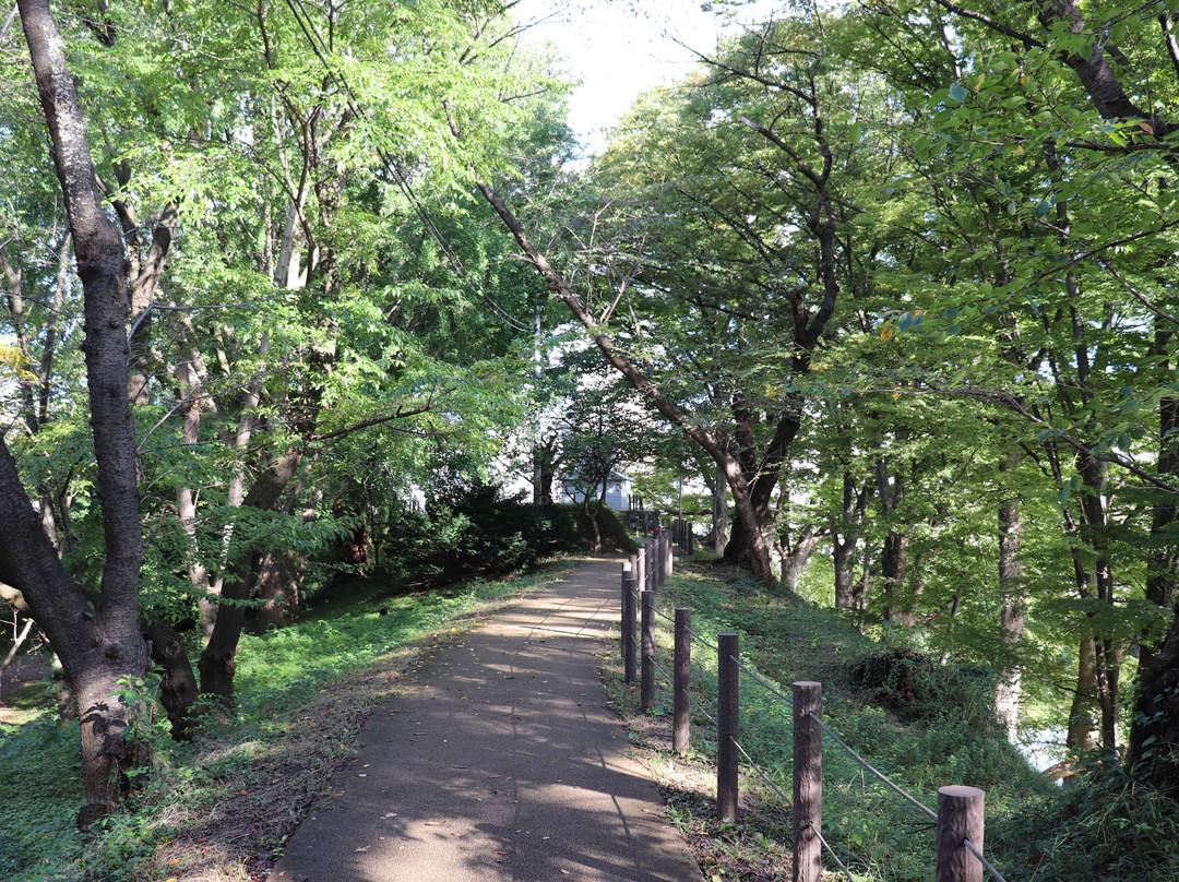 Yamagata castle-山形市必去景点