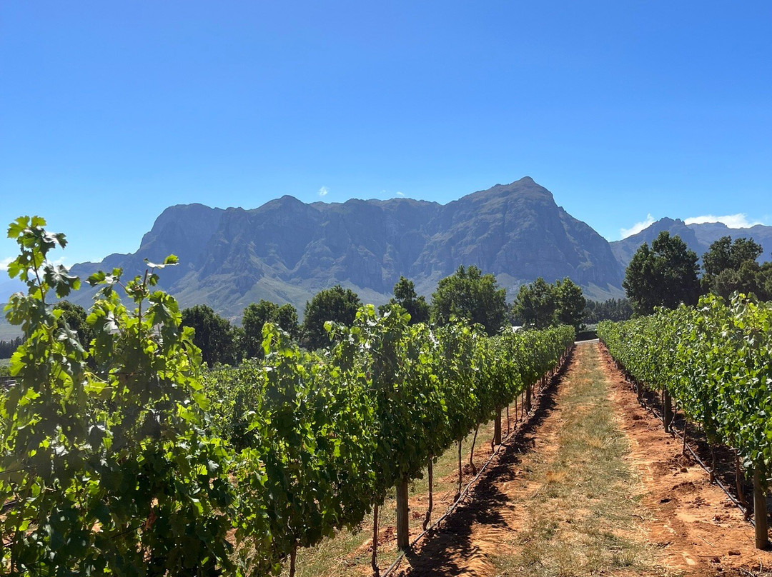Glorious Cape Tours-开普敦中心区必去景点