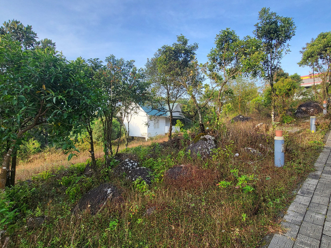 D ‘Heavenly Mist Resorts主图