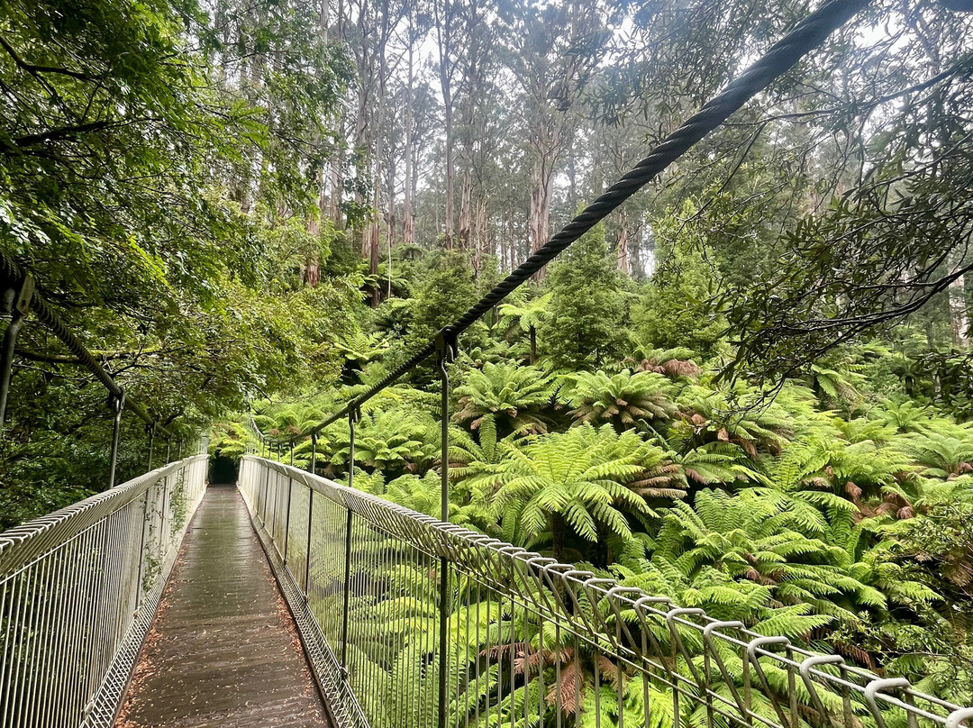 Tarra Yarram Motel主图