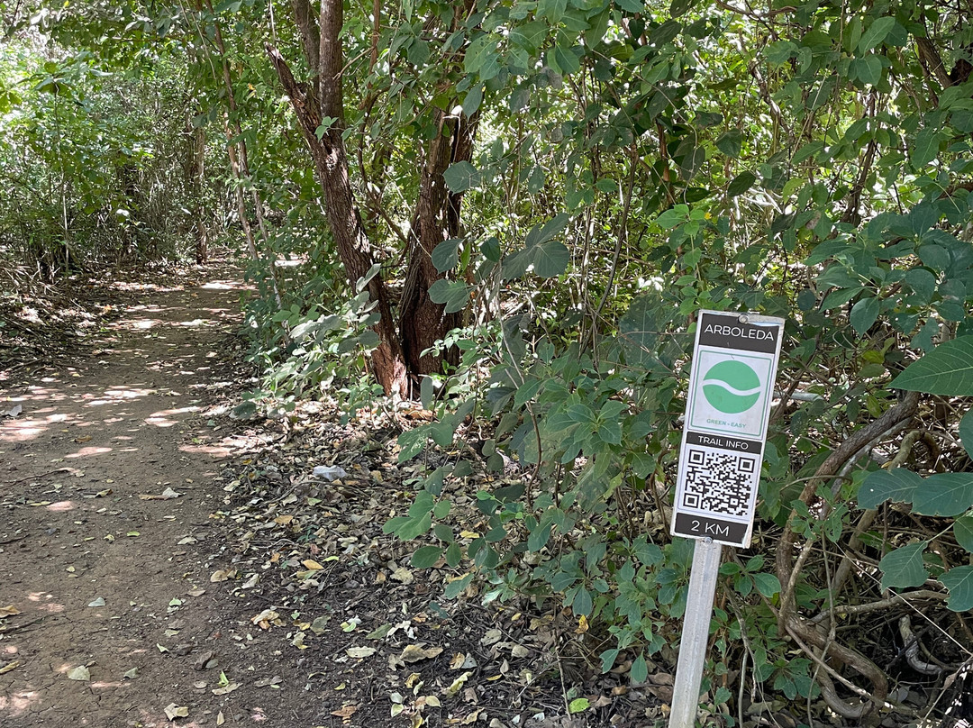 瓜纳卡斯特 JW 万豪度假酒店及水疗中心主图