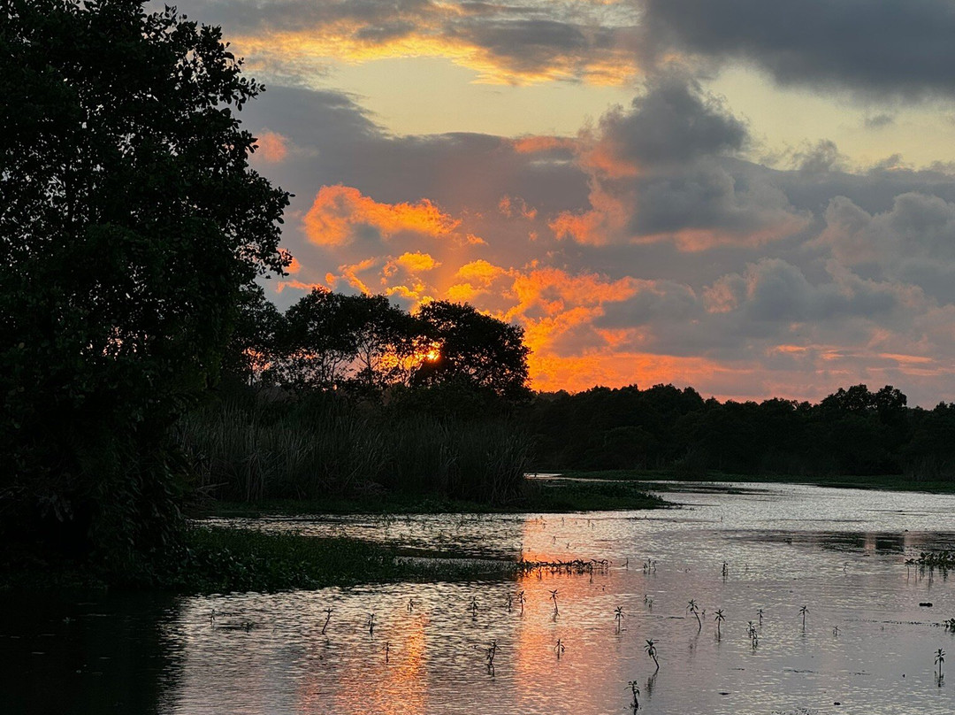 Kalametiya Lagoon Bird Sanctuary & Wetland Park景点图片