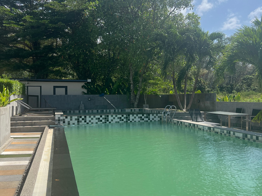 The Rubber Hotel主图