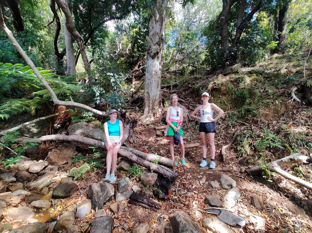 Pniël Cultural and Environmental Hiking Tours-Pniel必去景点