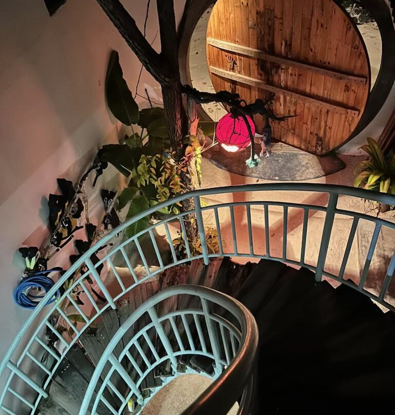 Amazing Noovilu主图