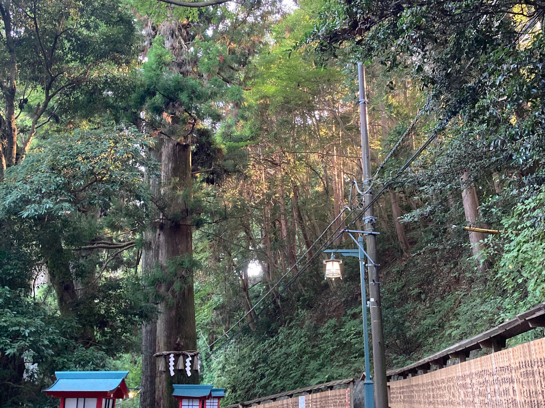 Mt. Takaosan Hiking Course-八王子市必去景点