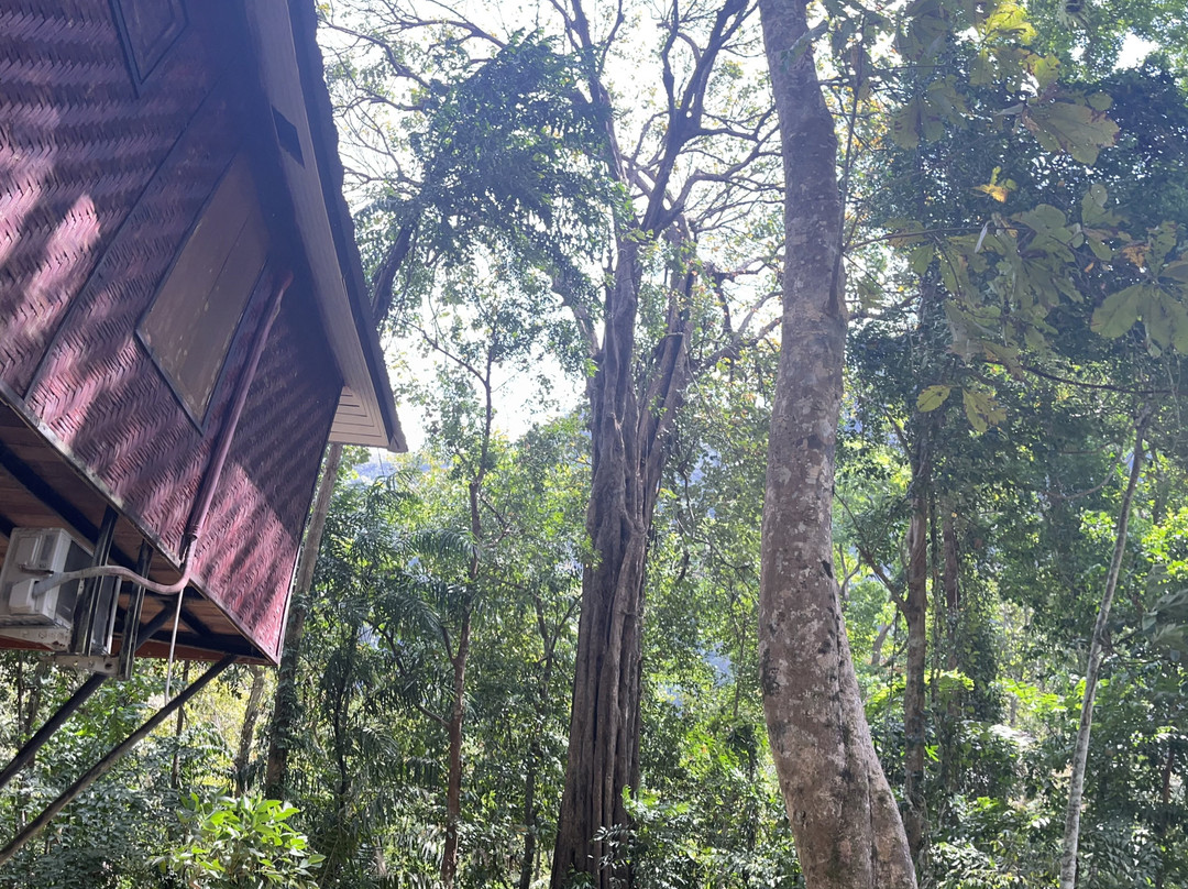 考索自然度假村主图