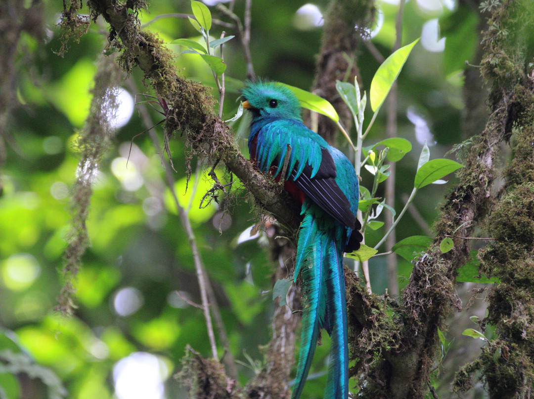 Birding Experiences景点图片