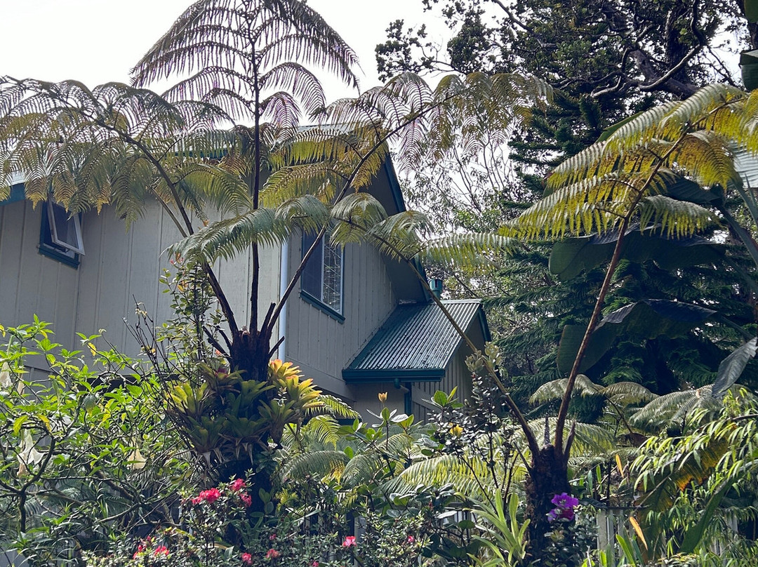 竹玉兰村庄旅社主图