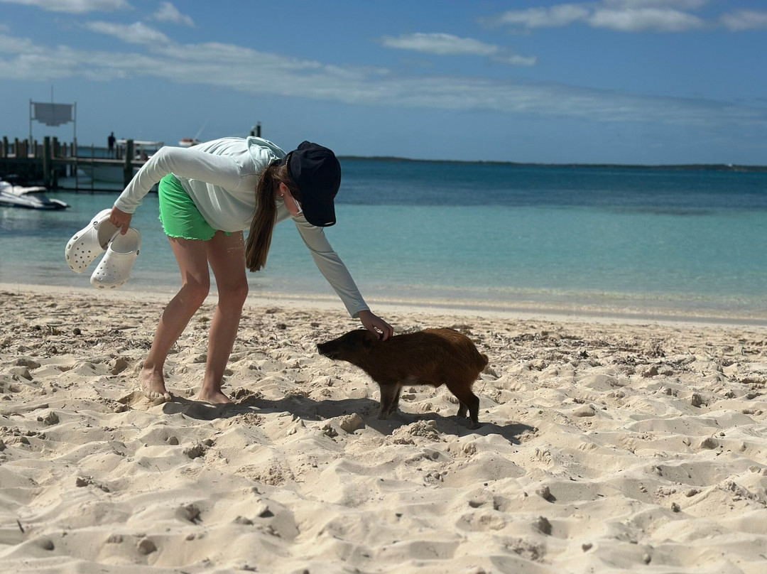 Brendal's Dive Center-Green Turtle Cay必去景点
