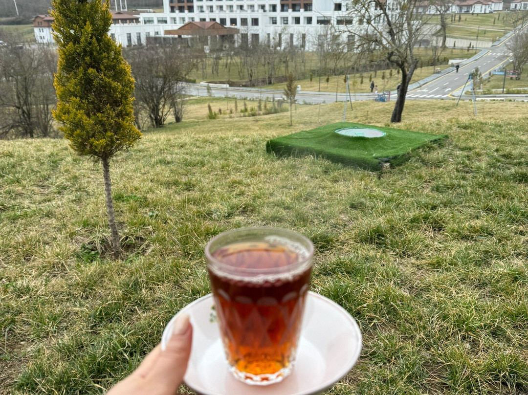 Shabran Wellbeing Resort主图