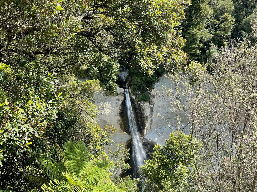 Mount Damper Falls景点图片