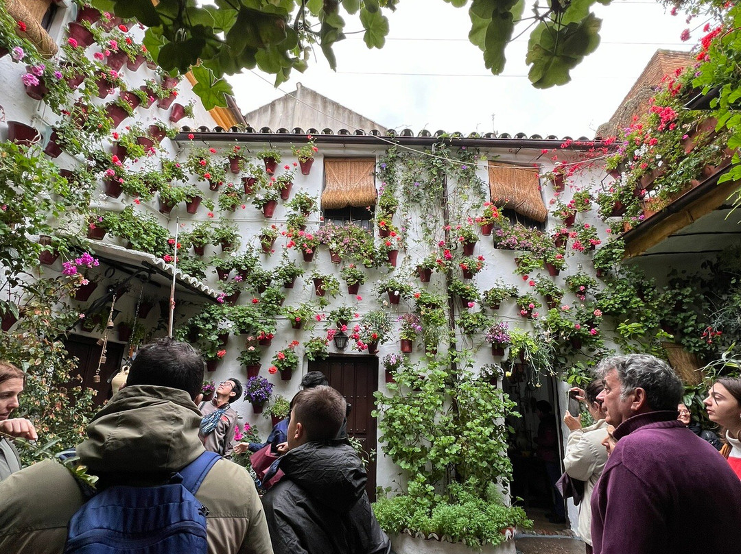 Andalusia Guided Tours-塞维利亚必去景点