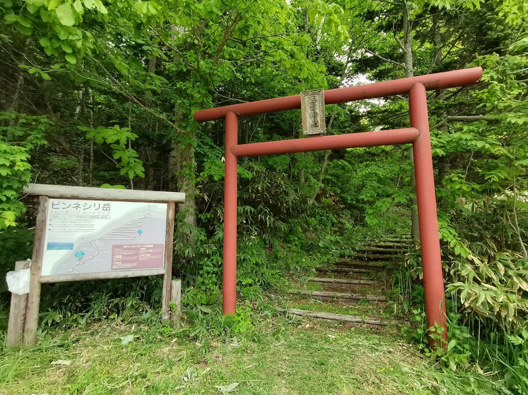 Michi-no-Eki Pinneshiri-中顿别町必去景点