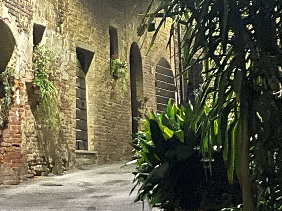 Chiesa di Santa Maria della Fraternità景点图片