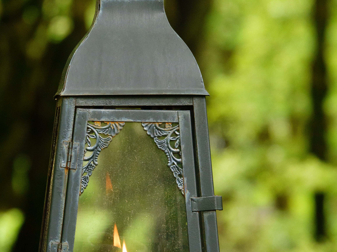 Cemetery Holavallagardur-雷克雅未克必去景点